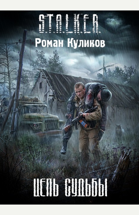 Роман Куликов: Цепь судьбы